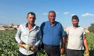 Ömer Fethi Gürer pancar üreticilerinden beklentilerini dinledi