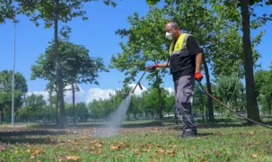 Samsun'da sivrisineklere karşı etkin mücadele