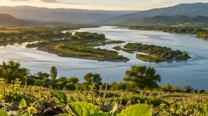 Tarım ve su havzalarında yeni dönem! Kritik yönetmelik değişiklikleri 'Resmi'leşti