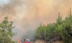 Yeşil Vatan'ı korumaya devam! O yangınlarda 3 ayda 69 şüpheliden 15'i tutuklandı