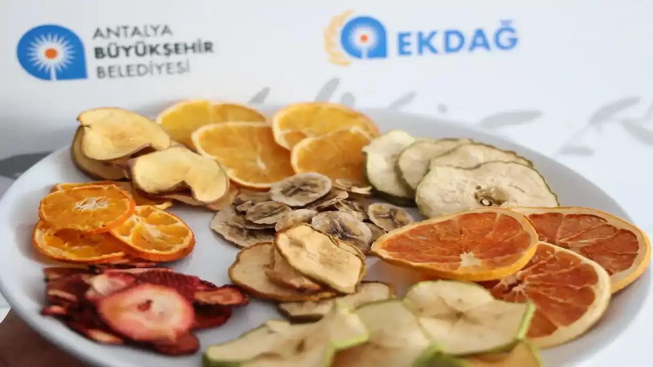 Antalya'da meyve kurutma tesisi açıldı