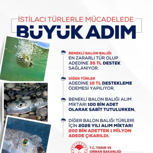 Haber Detayı