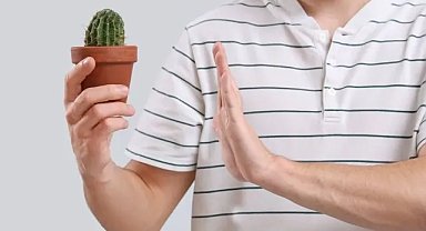 Hemoroid, Kıl Dönmesi ve Makat Çatlağı Cerrahisi