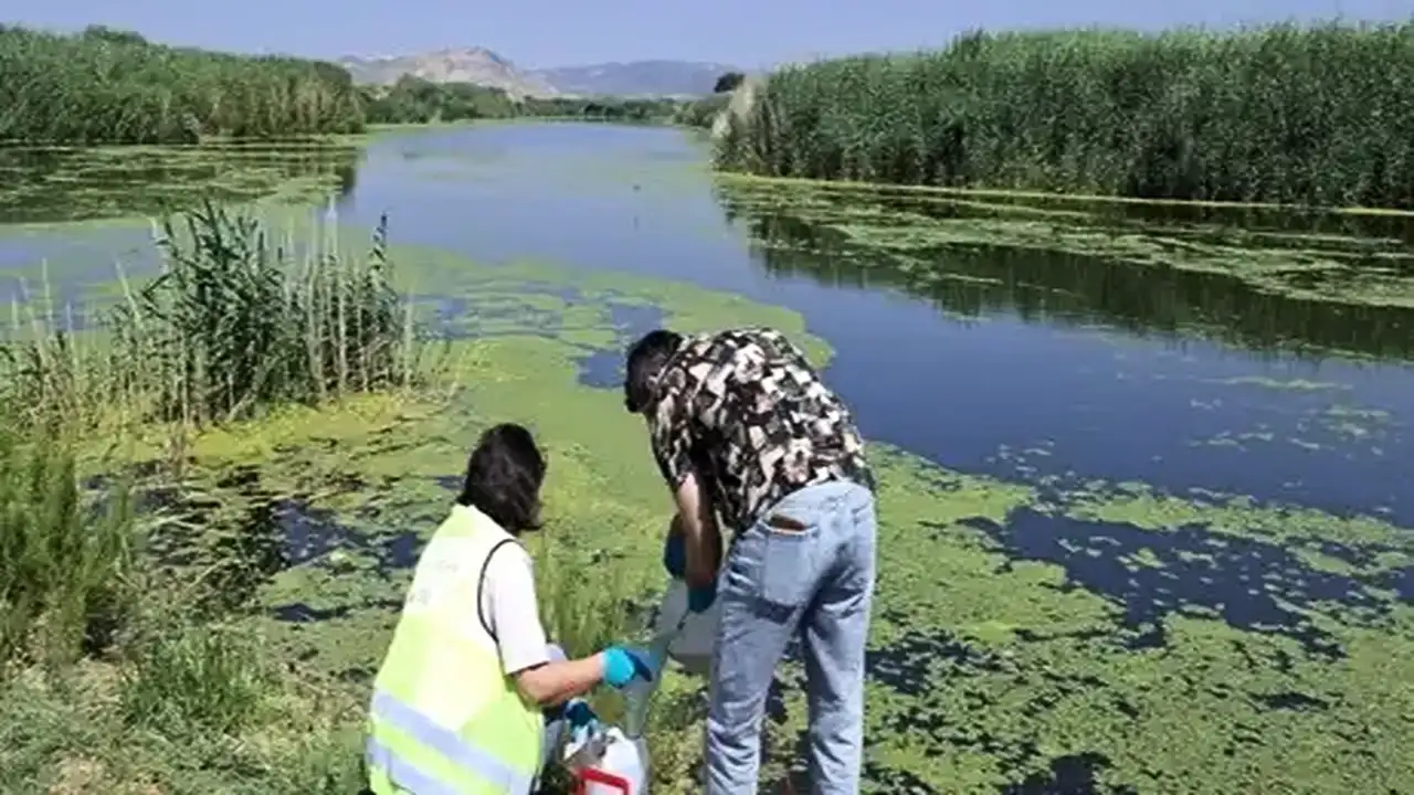 İzmir'de Gediz Nehri'nde kirlilik alarmı veriliyor