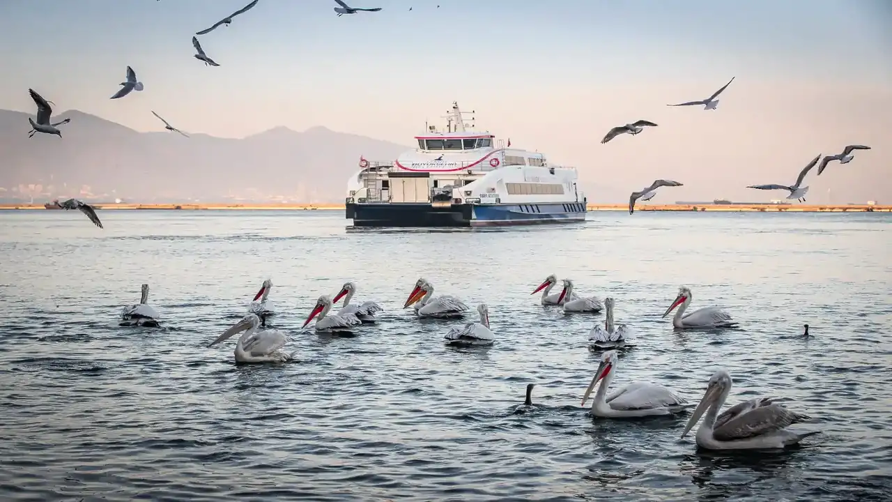 İzmir yolcularından İZDENİZ hizmetlerine yüksek puan