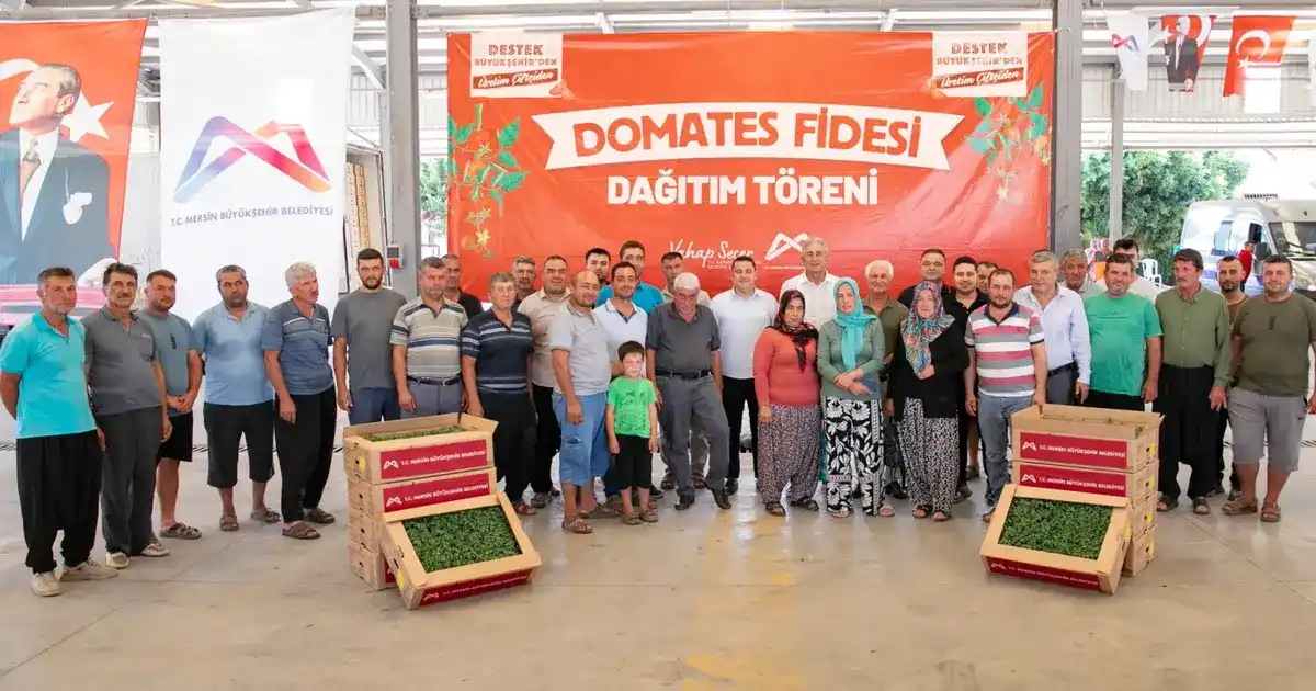 Mersin’de üreticiye domates fidesi desteği