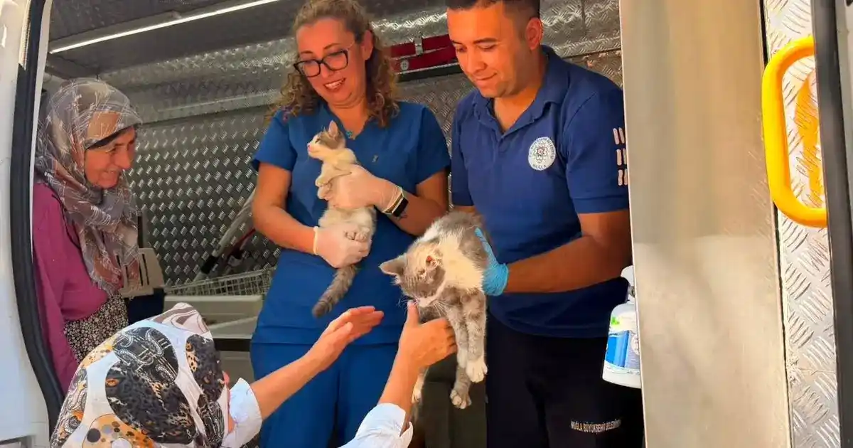 Muğla’da Yaraş yangınında can dostlara acil müdahale