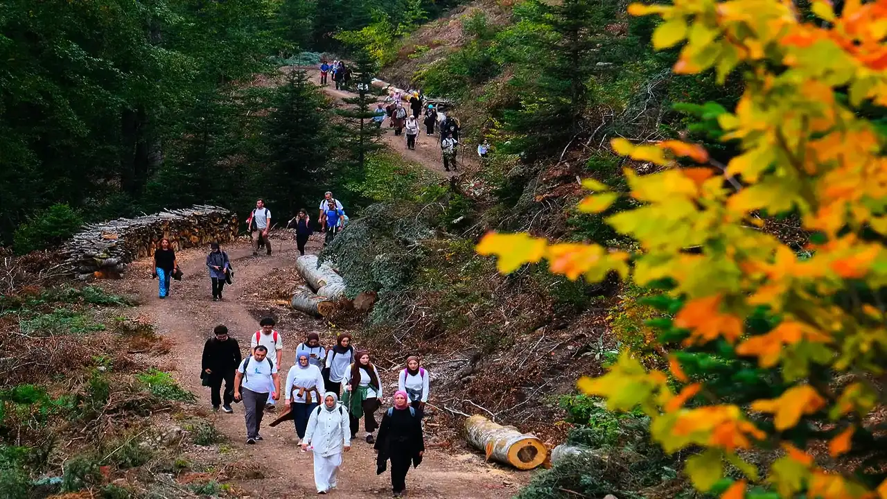 Sakarya'da doğaseverler Hendek yaylalarını adımladı