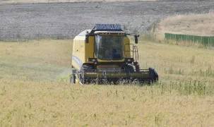 Ankara’da sertifikalı nohut hasadı başladı