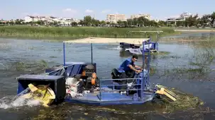 Antalya Boğaçayı’nda ekolojik denge korunuyor