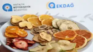 Antalya'da dev meyve kurutma tesisi açıldı