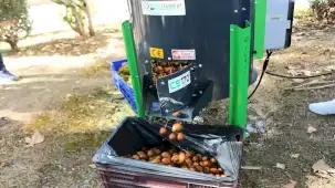 Antalya'da üreticilere ceviz soyma makinesi desteği