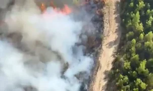 Antalya Serik’te orman yangını