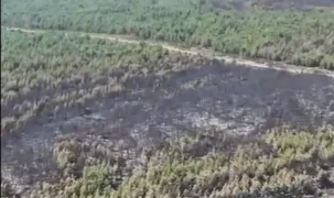 Antalya ve Adana'daki yangınlar kontrol altına alındı