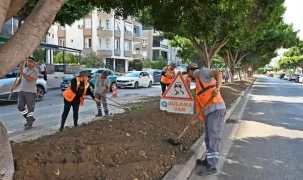 Antalya'da kurakçıl peyzajla yeşil dokunuş