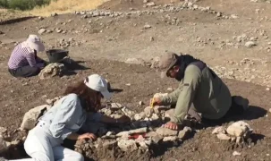 Çayönü Tepesi’nde 9 bin yıllık iz... Yeni işlik gün yüzüne çıkarıldı