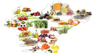 Ege Bölgesi ihracatı 8 ayda yükseldi