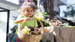 İzmir'de üreticilere 300 bin nergis desteği