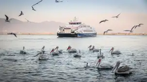 İzmir yolcularından İZDENİZ hizmetlerine yüksek puan