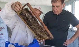 İzmir'de Başkan Tugay üreticiyle bal sağdı