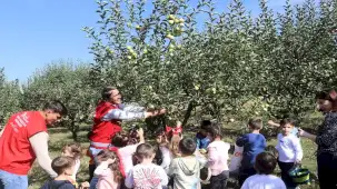 İzmit'te minikler meyveleri dalından topladı