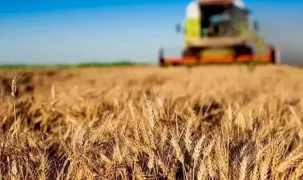 Kırsala 12,5 milyar liralık dev hibe desteği