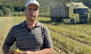 Kocaeli tarımında çift hasat dönemi