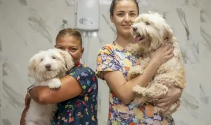 Mersin'de patili dostlar için anlamlı iş birliği