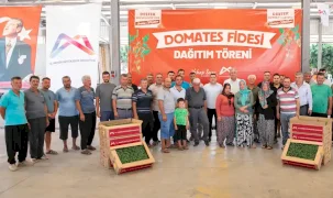 Mersin’de üreticiye domates fidesi desteği