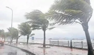 Meteoroloji'den kuvvetli yağış ve rüzgar uyarısı