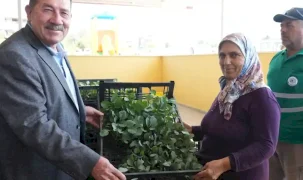 Muğla Milas'ta üreticiye yüzde 50 hibeli fide desteği
