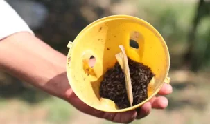 Muğla’da üreticinin emeğine çevre dostu koruma