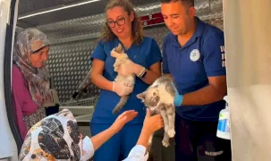 Muğla’da Yaraş yangınında can dostlara acil müdahale
