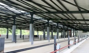 Ordu Fatsa’da Damızlık Düve Yetiştirme Merkezi tamamlandı