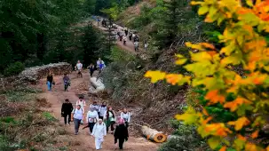 Sakarya'da doğaseverler Hendek yaylalarını adımladı