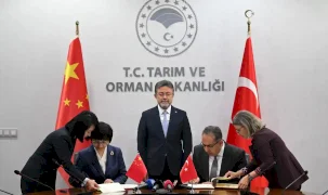 Tarım diplomasisinde Çin ile kota anlaşması