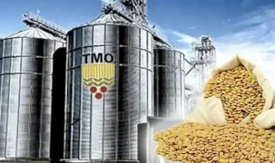 TMO’dan üreticilere 6,3 milyar liralık ödeme