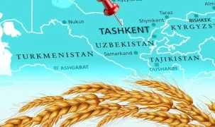 Türkiye un ihracatında 12. şampiyonluk hedefini koydu... Tahıl sektörü Taşkent'te buluşuyor