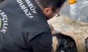 Uyuşturucu kaçakçılığına darbe! Esenboğa'da 3 ayrı operasyon!