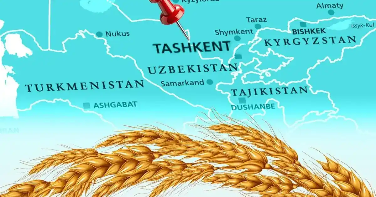 Türkiye un ihracatında 12. şampiyonluk hedefini koydu... Tahıl sektörü Taşkent'te buluşuyor