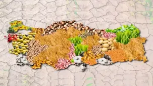 Türkiye’nin tarımsal örgütlenme haritası 2025 verileriyle güncellendi